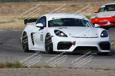 media/May-03-2024-PCA Central Coast (Fri) [[eaa7da0ee1]]/Red Group/Session 1 (Grapevine)/